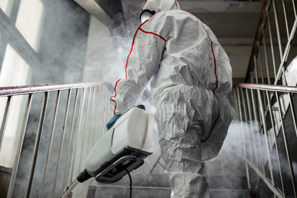 Best Emergency Mold Remediation  in Springdale, NJ